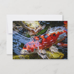 Japansk koi Fish Pond Tack Kort