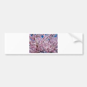 Japansk körsbärsblomma bildekal