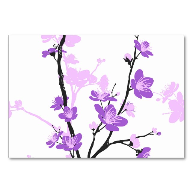 Japansk körsbärsblommar, royal lila, blomma, flick bordsnummer (Framsidan)