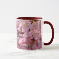 Japansk körsbärsröd blommar
