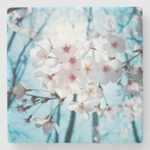 Japansk körsbärsröd blommarZen Underlägg Sten