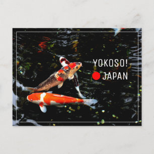 Japansk korsning av Koi-fisk nishikigoi Vykort