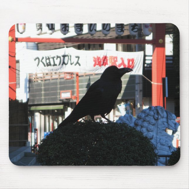 Japansk Kråka Musmatta (Framsidan)