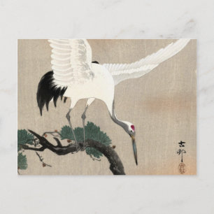 Japansk kran Gren i Gräs, 1900-1930 Vykort
