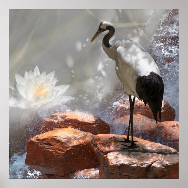 Japansk kran "Longevity" Poster (Framsidan)