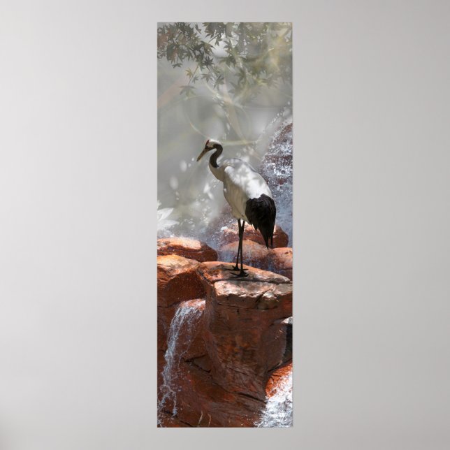 Japansk kran "Longevity" Poster (Framsidan)