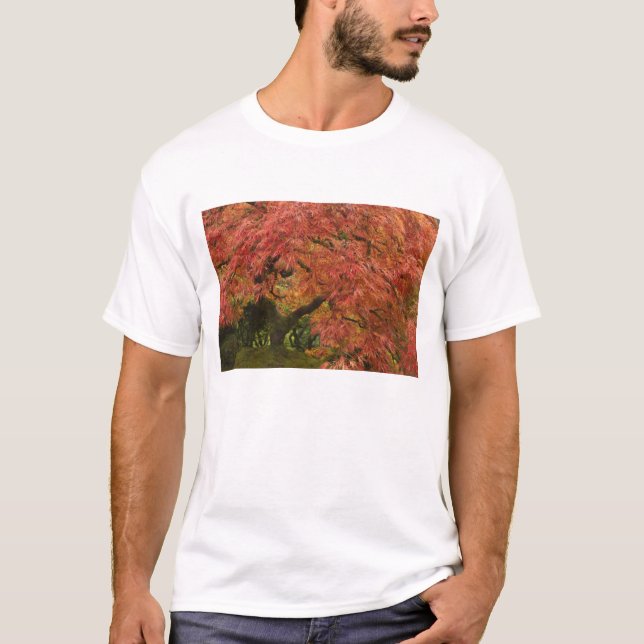 Japansk lönn i höstfärg t-shirt (Framsida)