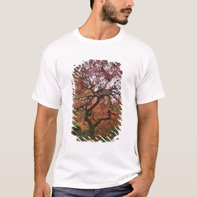 Japansk lönn i höstfärg tee (Framsida)