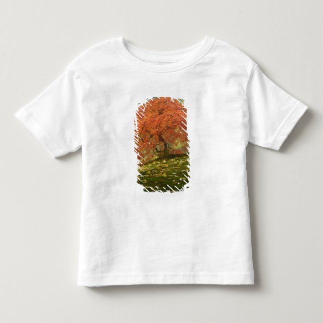 Japansk lönn i höstfärg tee shirt (Framsida)