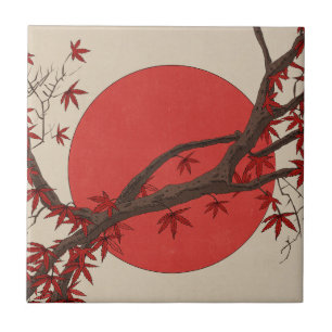 Japansk lönn kakelplatta