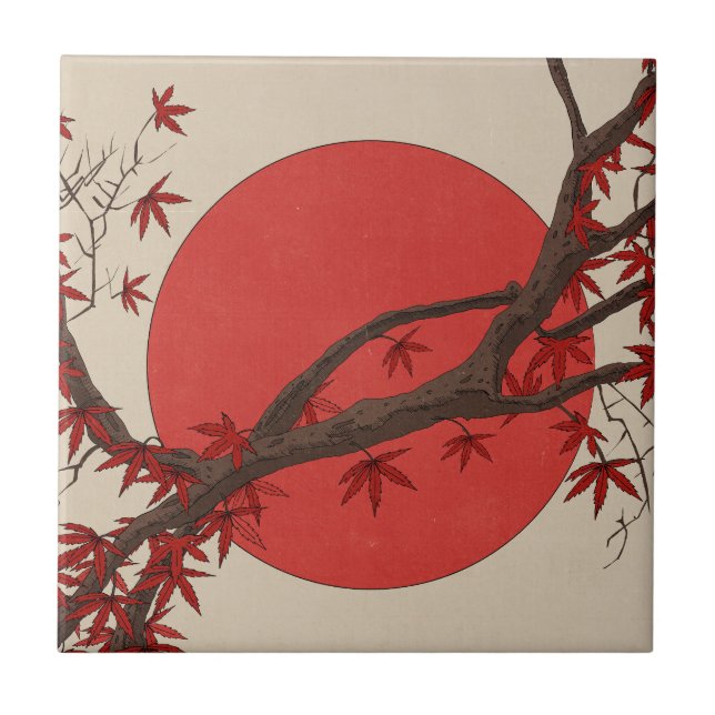 Japansk lönn kakelplatta (Framsidan)