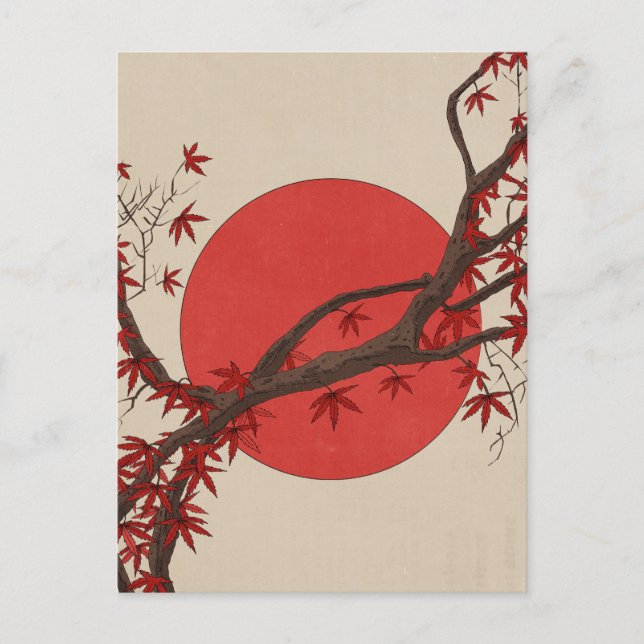 Japansk lönn vykort (Framsida)