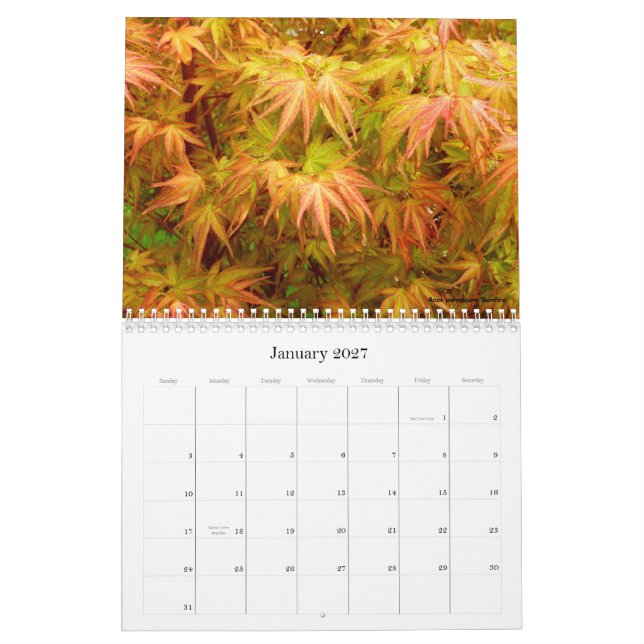 Japansk lönnkalender kalender (Jan 2027)