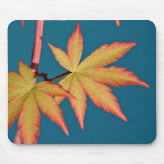 Japansk lönnlöv Sango Kaku Mousepad Musmatta (Framsidan)