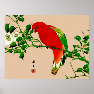 Japansk målning för vintage av en papegoja, rött & poster