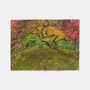 Japansk mapel träd under hösten färg fleecefilt