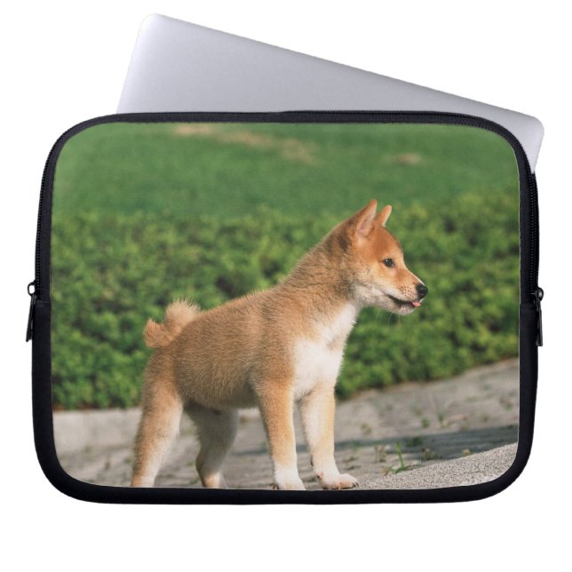 Japansk Midget Shiba 2 Laptop Fodral (Framsidan)