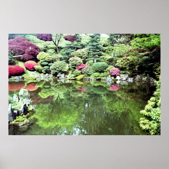 Japansk oasis poster (Framsidan)