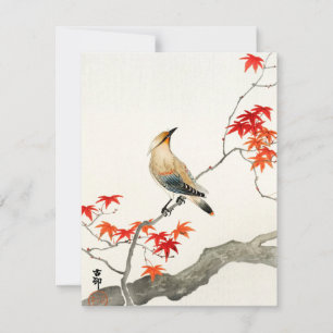 Japansk pagell Ohara Koson Vintage Art Card
