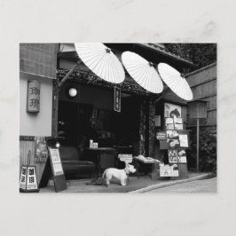 Japansk paraply Shop Vykort