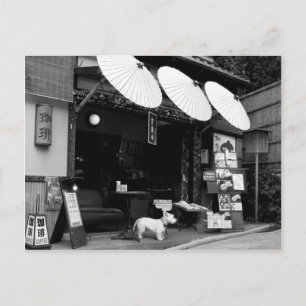 Japansk paraply Shop Vykort