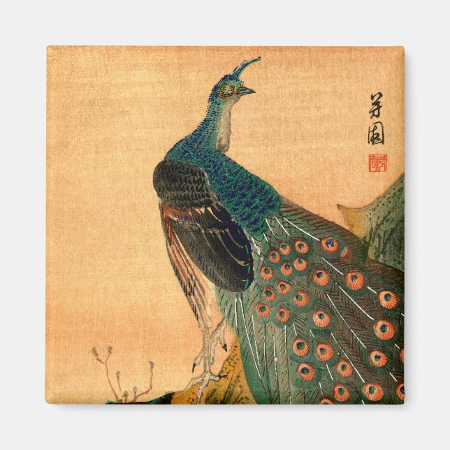Japansk peacock nr 2 magnet (Framsidan)