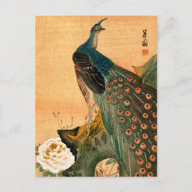 Japansk peacock nr 2 vykort (Framsida)