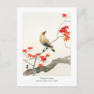 Japansk pestfågel på maple - Ohara Koson - Vykort