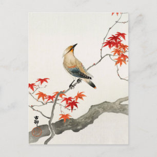 Japansk plague Bird on Maple av Ohara Koson Vykort