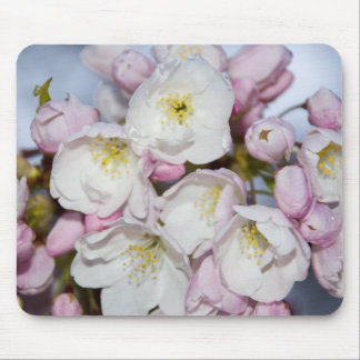 Japansk Plum Mousepad Musmatta