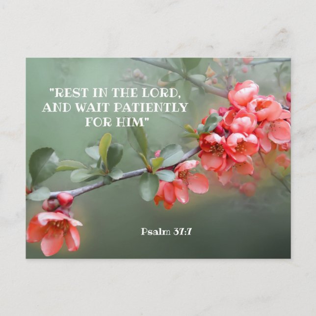 Japansk prydnadscitament med bibelcitat vykort (Framsida)