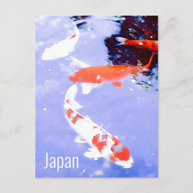 Japansk resa: Japan Kohaku koi carp Vykort (Framsida)