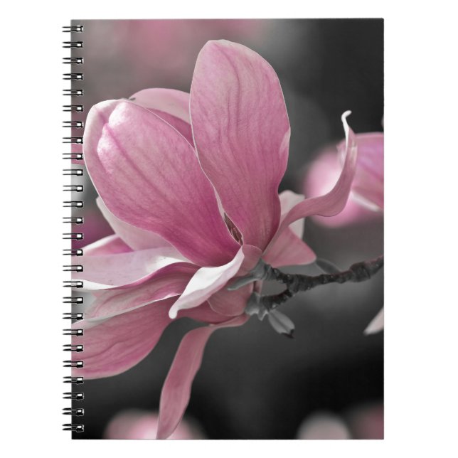 Japansk Rosa Saucer Magnolia Anteckningsbok Med Spiral (Framsidan)