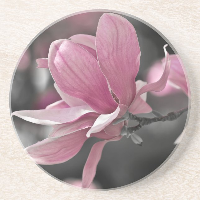 Japansk Rosa Saucer Magnolia Underlägg Sandsten (Framsidan)