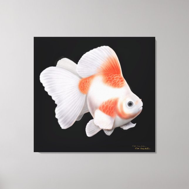 Japansk Ryukin Fantail Goldfish Wrapped Canvas (Framsida)