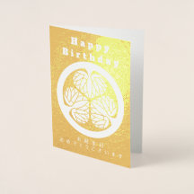 Japansk Samuraj Historia Tokugawa Strålande