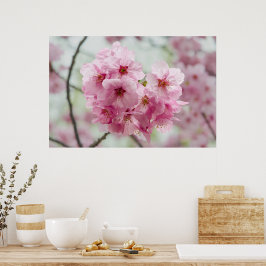 Japansk skönhet, Blommigt Rosa Cherry-Blommar Poster