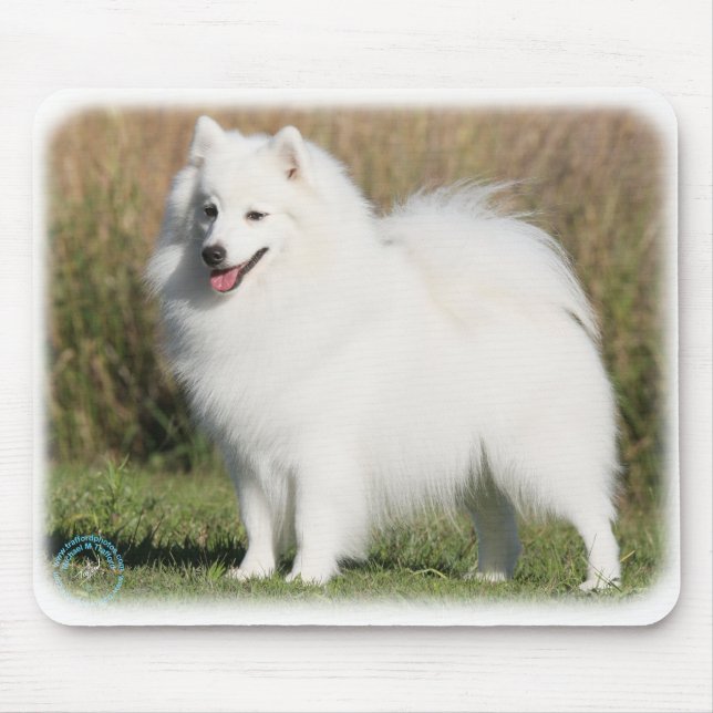 Japansk Spitz 9Y576D-261 Musmatta (Framsidan)