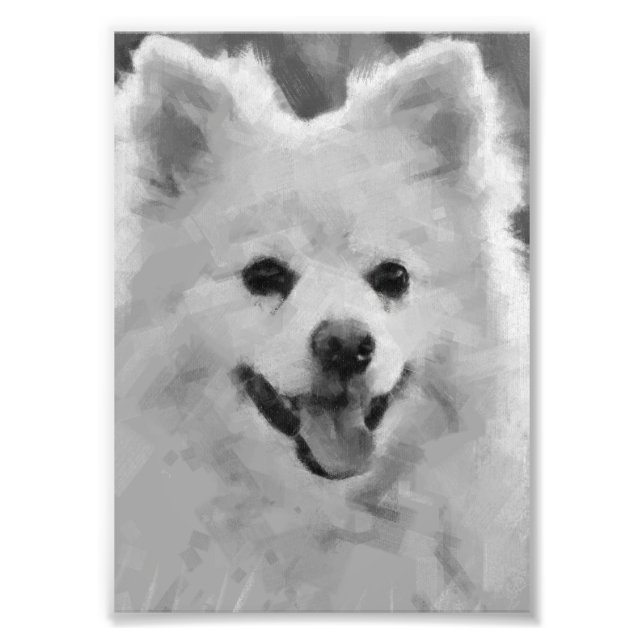 Japansk spitz fototryck (Framsidan)