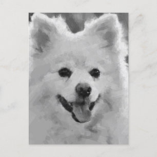 Japansk spitz helg vykort