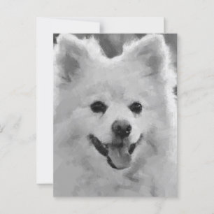 Japansk spitz vykort