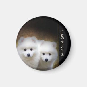 Japansk Spitzvalpmagnet Magnet