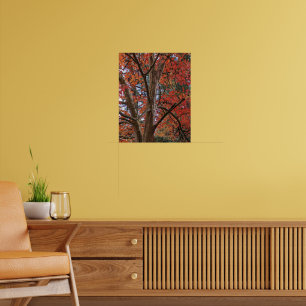 Japansk Stewartia Färgrika Höstlöv Poster