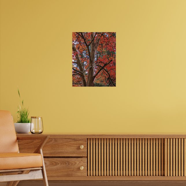 Japansk Stewartia Färgrika Höstlöv Poster (Vardagsrum 2)
