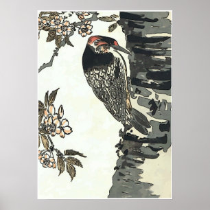 Japansk Stil Woodpecker Poster