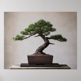 Japansk svart tall Bonsai | Zen Väggkonst