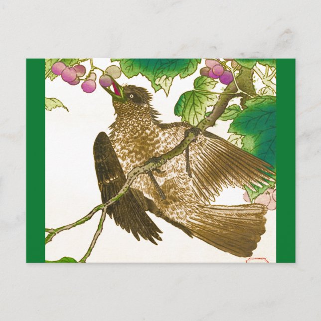 Japansk teckning av Jay på en druvstjälk Vykort (Framsida)