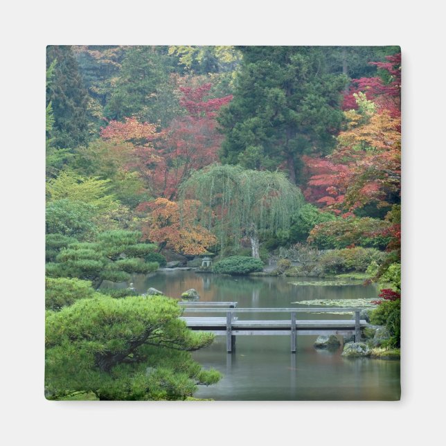 Japansk trädgård i Washington Park Magnet (Framsidan)