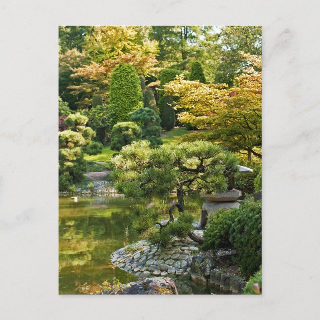 Japansk trädgård vykort (Framsida)
