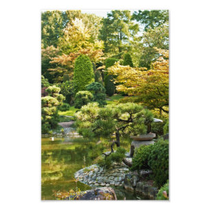 Japansk trädgårdsfoto tryck
